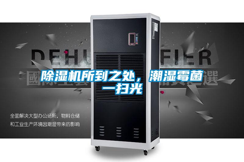 除濕機所到之處，潮濕霉菌一掃光