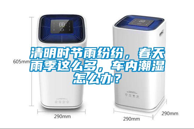 清明時節雨紛紛，春天雨季這么多，車內潮濕怎么辦？
