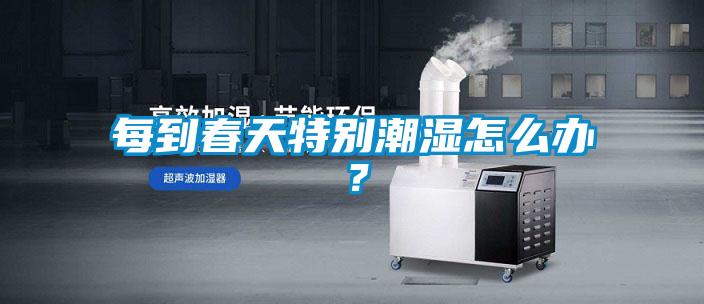 每到春天特別潮濕怎么辦？