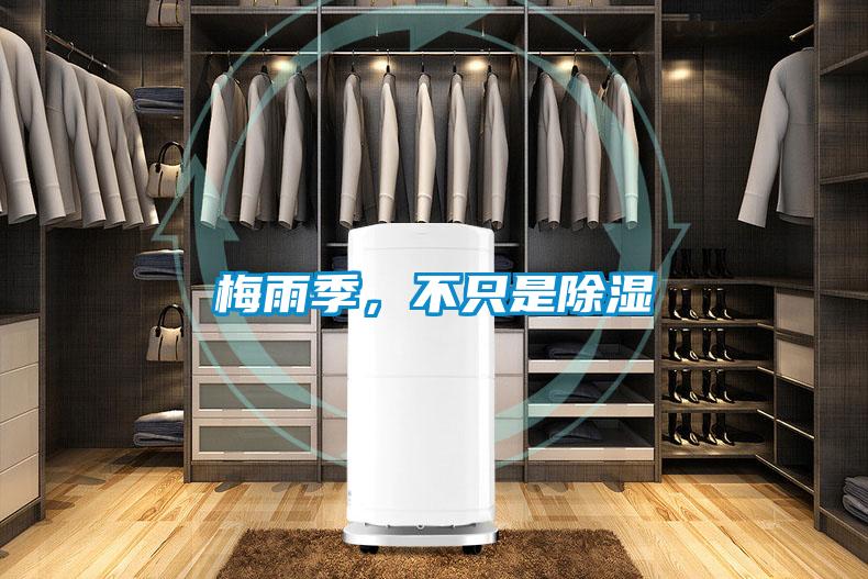 梅雨季，不只是除濕