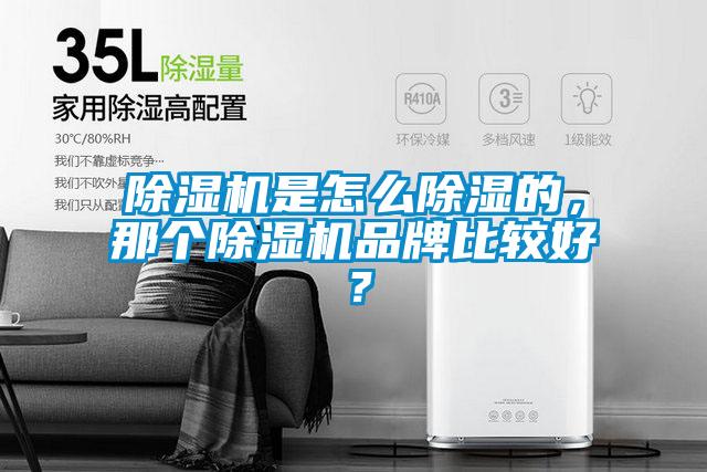 除濕機(jī)是怎么除濕的，那個(gè)除濕機(jī)品牌比較好？