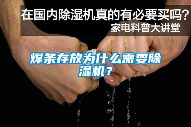 焊條存放為什么需要除濕機？