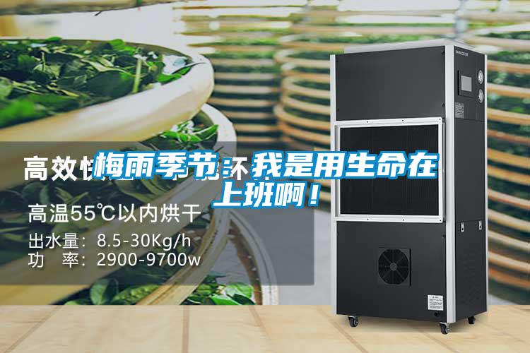 梅雨季節：我是用生命在上班??！
