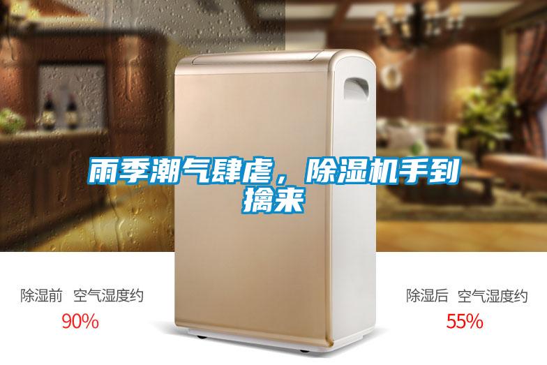 雨季潮氣肆虐，除濕機手到擒來