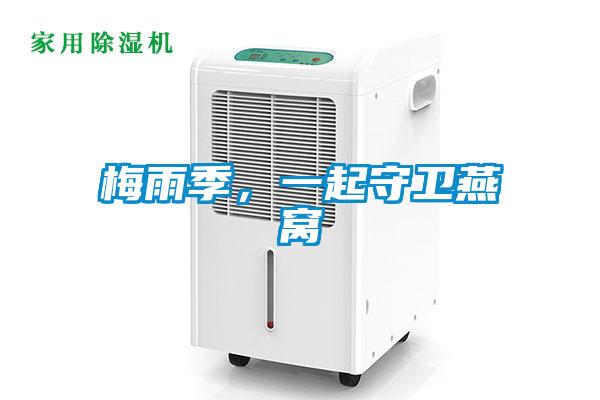 梅雨季，一起守衛(wèi)燕窩