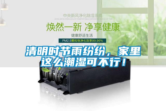 清明時節雨紛紛，家里這么潮濕可不行！