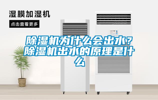 除濕機為什么會出水？除濕機出水的原理是什么