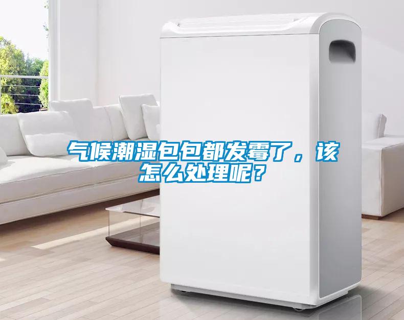 氣候潮濕包包都發霉了，該怎么處理呢？