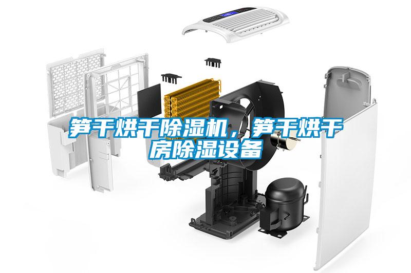 筍干烘干除濕機,筍干烘干房除濕設(shè)備