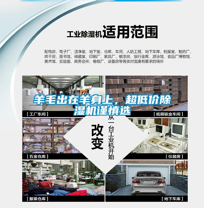 羊毛出在羊身上，超低價除濕機謹慎選