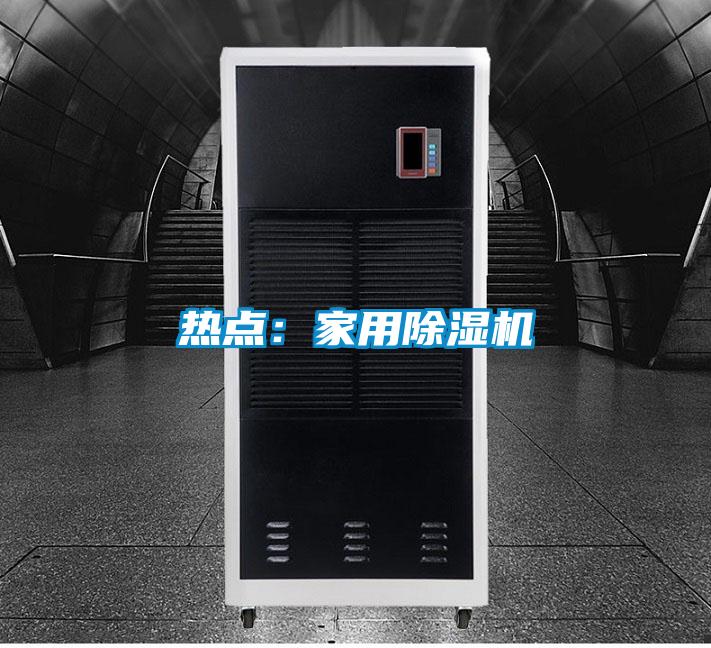 熱點(diǎn):家用除濕機(jī)
