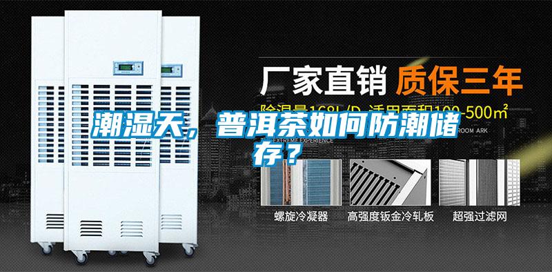 潮濕天，普洱茶如何防潮儲存？