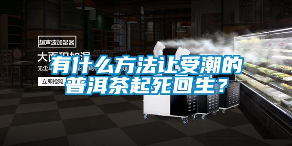 有什么方法讓受潮的普洱茶起死回生？
