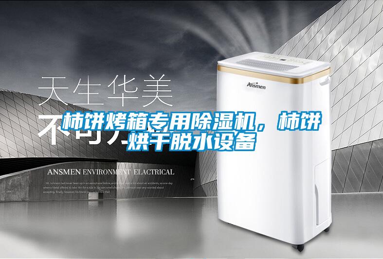 柿餅烤箱專用除濕機，柿餅烘干脫水設備