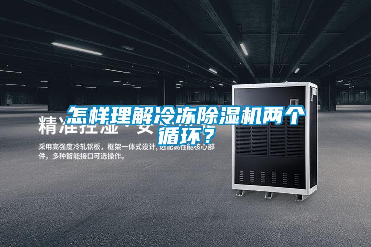 怎樣理解冷凍除濕機兩個循環？