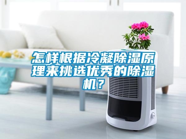 怎樣根據冷凝除濕原理來挑選優秀的除濕機？