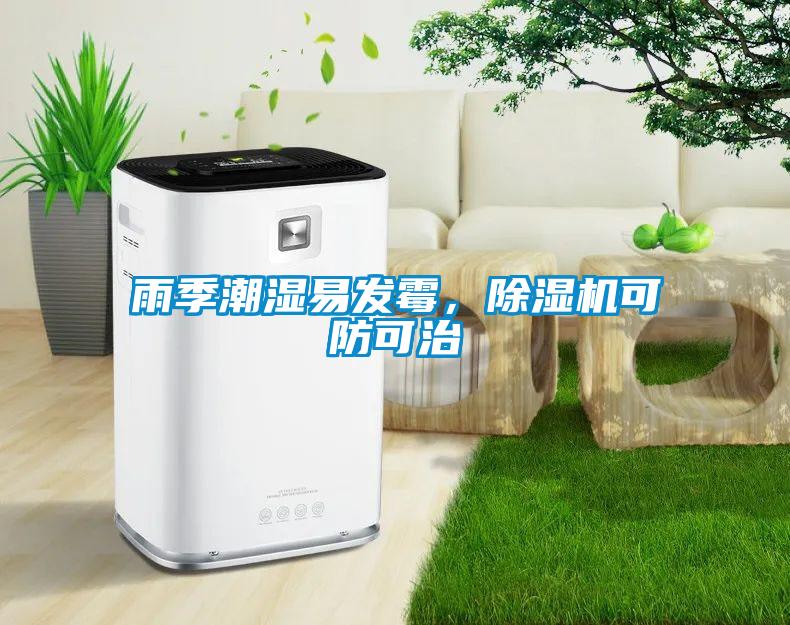 雨季潮濕易發霉，除濕機可防可治