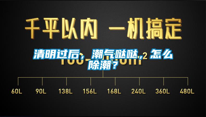 清明過后,潮氣噠噠,怎么除潮?