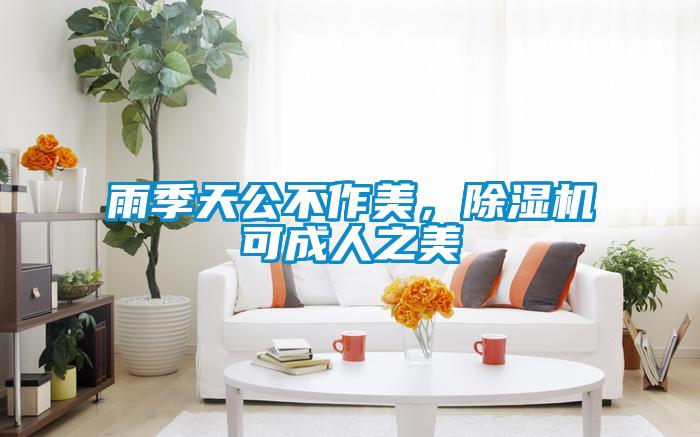 雨季天公不作美，除濕機可成人之美
