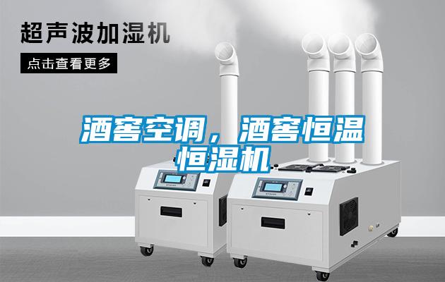 酒窖空調(diào)，酒窖恒溫恒濕機(jī)