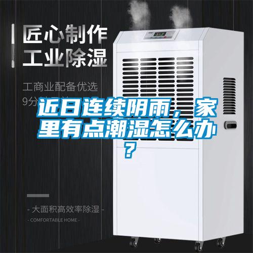 近日連續(xù)陰雨，家里有點(diǎn)潮濕怎么辦？