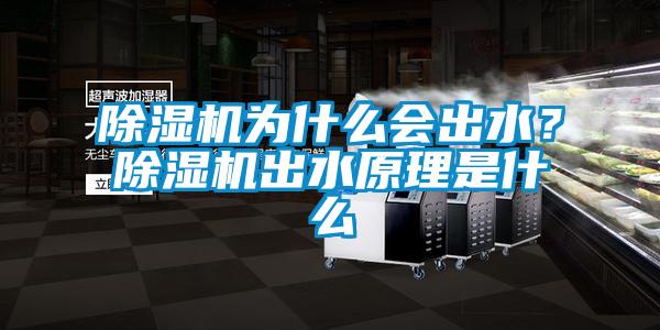 除濕機(jī)為什么會(huì)出水？除濕機(jī)出水原理是什么