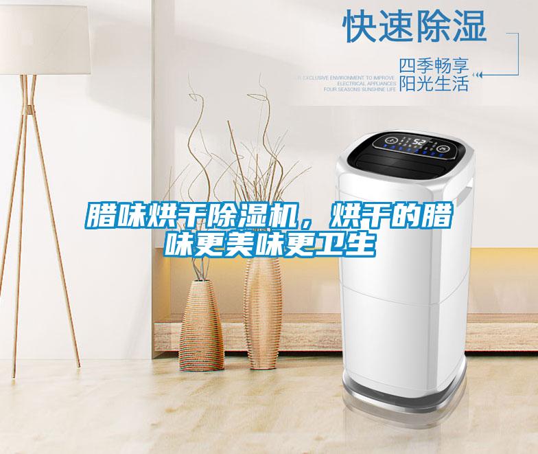 臘味烘干除濕機,烘干的臘味更美味更衛(wèi)生