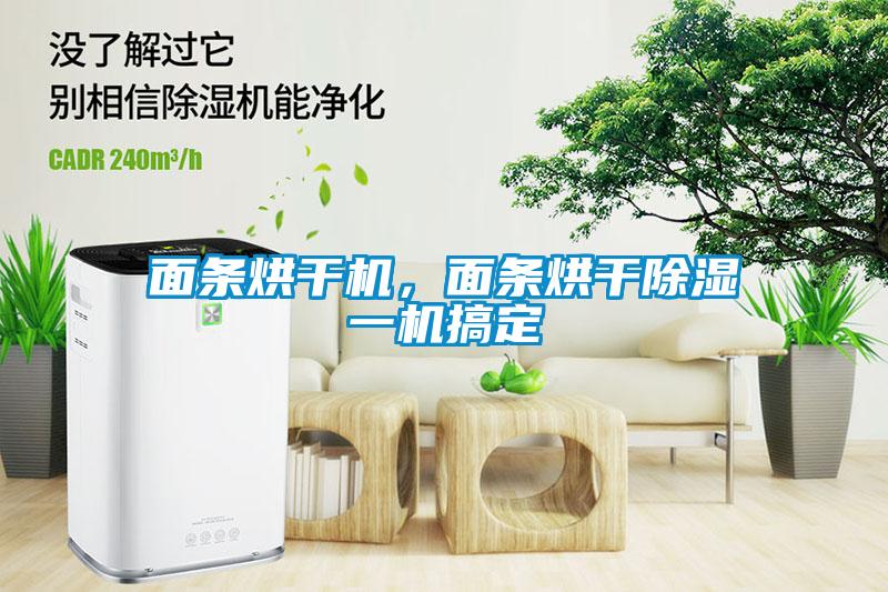 面條烘干機,面條烘干除濕一機搞定