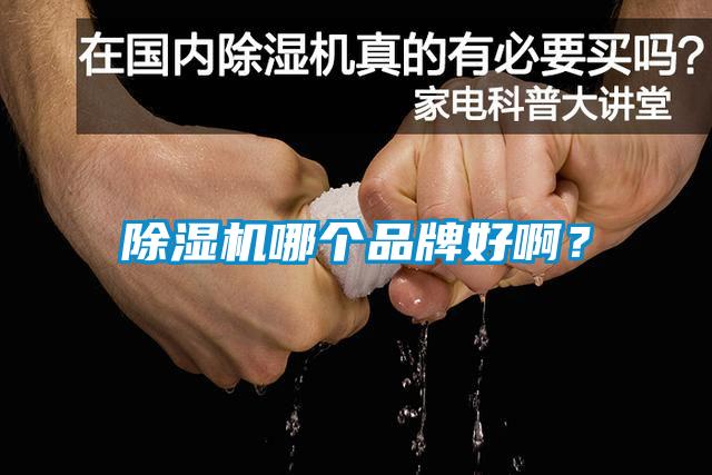 除濕機哪個品牌好?。?/></p>
						    <p style=