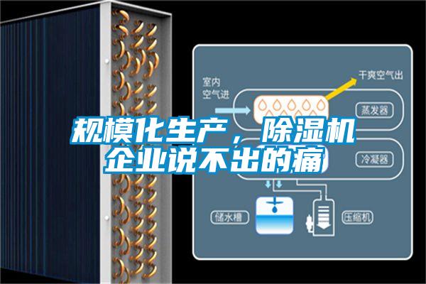 規?；a，除濕機企業說不出的痛