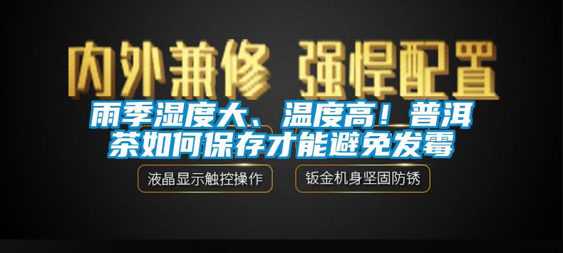 雨季濕度大、溫度高!普洱茶如何保存才能避免發霉