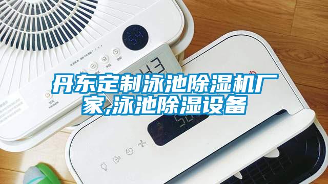 丹東定制泳池除濕機廠家,泳池除濕設備