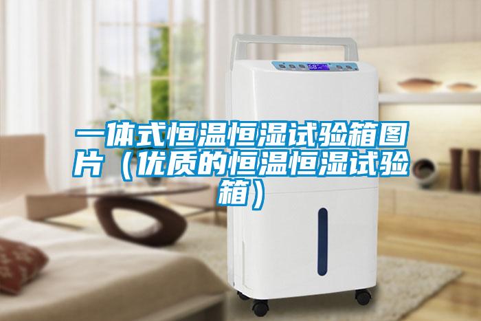 一體式恒溫恒濕試驗箱圖片(優質的恒溫恒濕試驗箱)