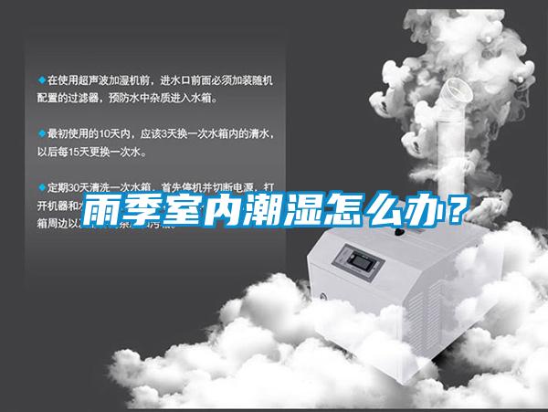 雨季室內潮濕怎么辦？