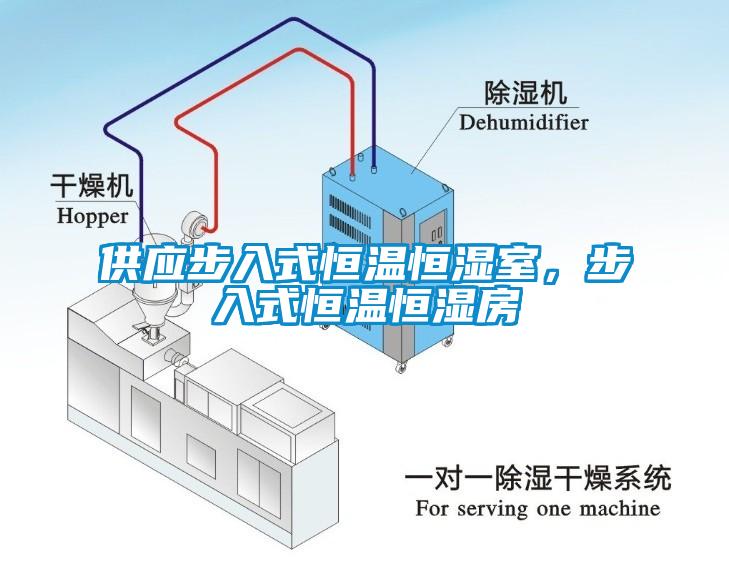 供應步入式恒溫恒濕室，步入式恒溫恒濕房