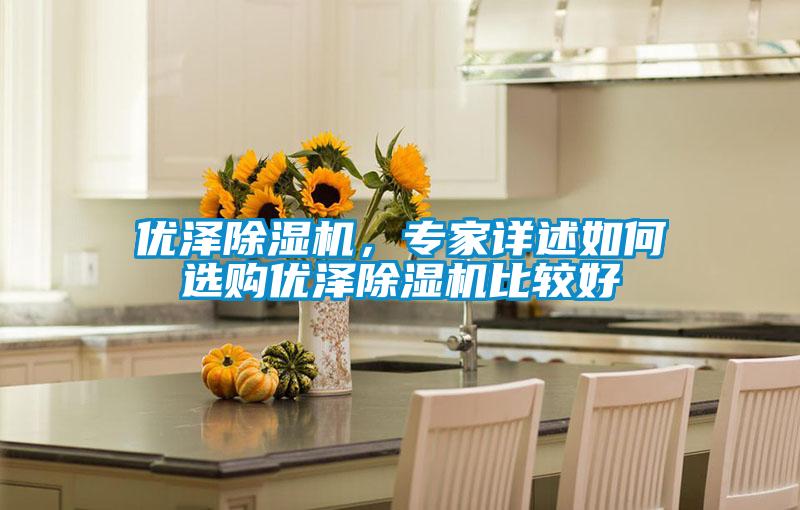 優澤除濕機，專家詳述如何選購優澤除濕機比較好