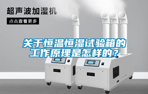 關于恒溫恒濕試驗箱的工作原理是怎樣的？