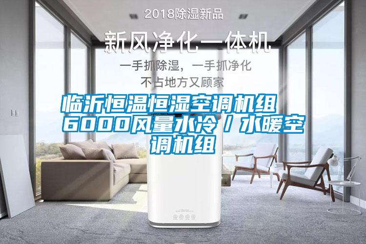 臨沂恒溫恒濕空調機組 6000風量水冷/水暖空調機組