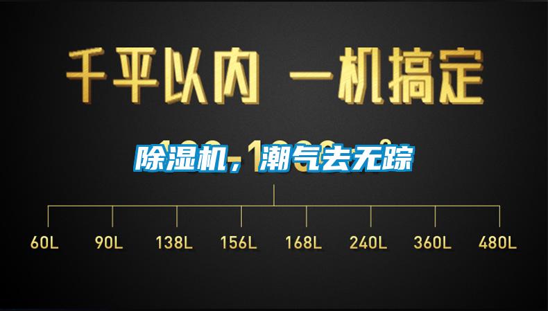 除濕機,潮氣去無蹤