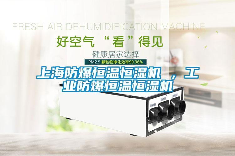 上海防爆恒溫恒濕機 ，工業防爆恒溫恒濕機