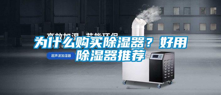為什么購買除濕器?好用除濕器推薦
