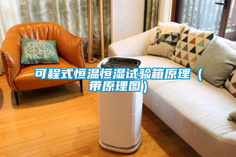 可程式恒溫恒濕試驗箱原理(帶原理圖)