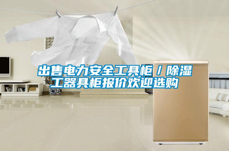 出售電力安全工具柜/除濕工器具柜報價歡迎選購
