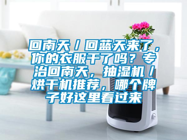 回南天／回藍天來了，你的衣服干了嗎？專治回南天，抽濕機／烘干機推薦，哪個牌子好這里看過來