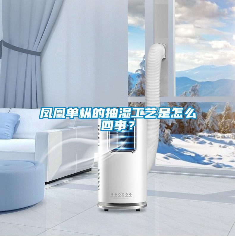 鳳凰單樅的抽濕工藝是怎么回事?