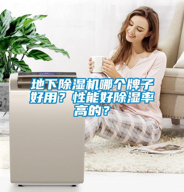 地下除濕機哪個牌子好用？性能好除濕率高的？