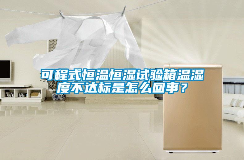 可程式恒溫恒濕試驗箱溫濕度不達(dá)標(biāo)是怎么回事？