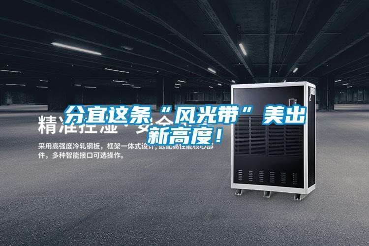 分宜這條“風(fēng)光帶”美出新高度！