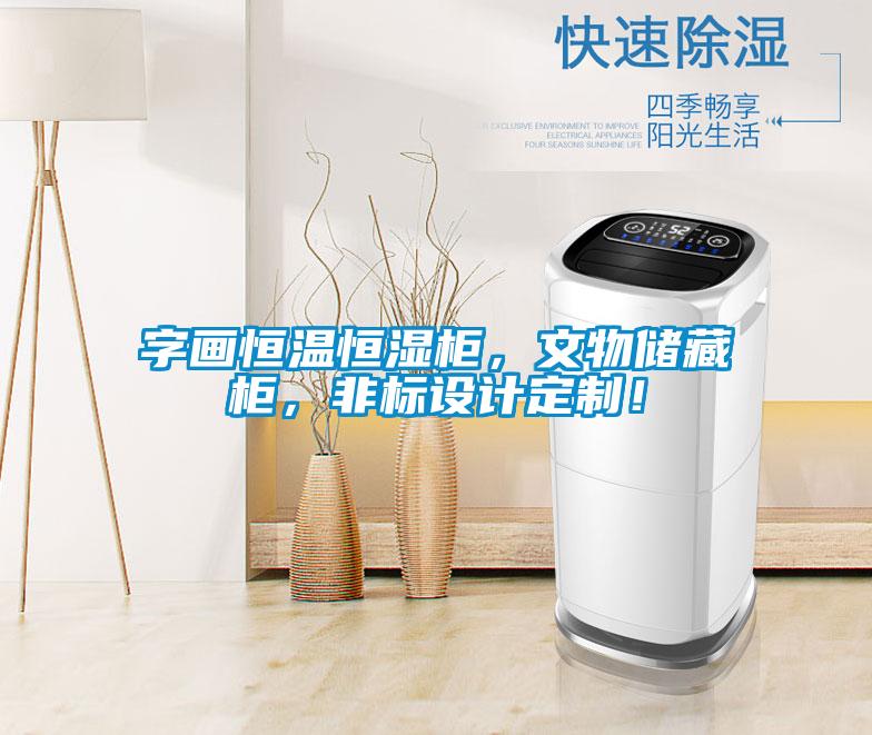 字畫恒溫恒濕柜，文物儲藏柜，非標設計定制！