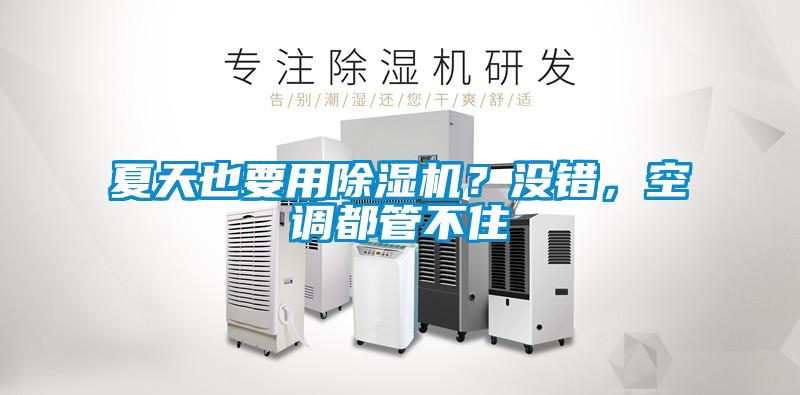 夏天也要用除濕機(jī)？沒錯(cuò)，空調(diào)都管不住